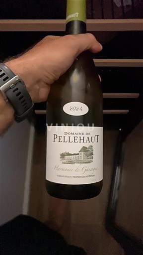 Südwestfrankreich Côtes de Gascogne Domaine Pellehaut Harmonie de Gascogne 2024