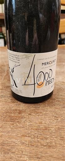 Vin Rouge sec 4000 Pieds SCEL Premier Chapitre 2019 France Bourgogne Mercurey AOC