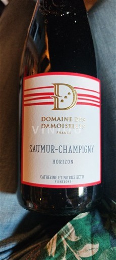 Thung lũng sông Loire Saumur-champigny Domaine Des Damoiselles Horizon 2022