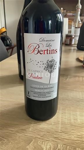 Zuidwest-Frankrijk Côtes-de-duras Domaine Les Bertins Le Caprice de Pauline 2023