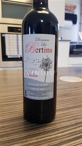 Sud-Ouest Côtes-de-duras Domaine Les Bertins Le Caprice de Pauline 2023