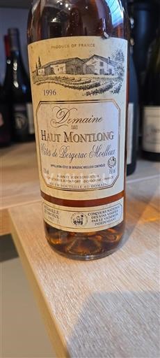Zuidwest-Frankrijk Niet gespecificeerd Domaine Haut Montlong 1996