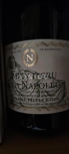 Burgundi Fixin Premier Cru Domaine Pierre Gelin Clos Napoléon 2022