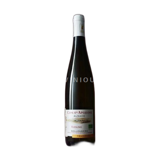 Alsace Riesling Domaine Bollenberg - Clos Sainte Apolline 2019