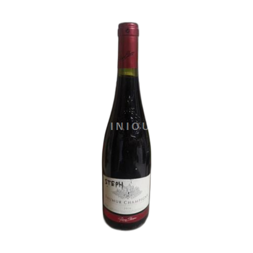 Valle del Loira Saumur-Champigny Pierre Chavin 2016