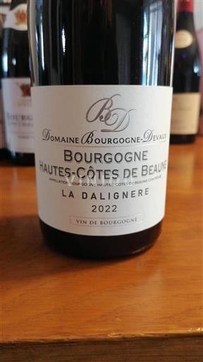 Burgundi Beaunen Ylämaat Domaine Bourgogne-Devaux La Dalignere 2022