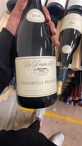 Bourgogne Chambolle-Musigny La Pousse Or 2018