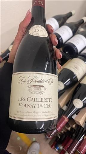 Bourgogne Premier Cru La Pousse Or Les Caillerets 2017