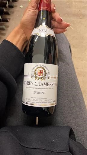 Burgund Gevrey-Chambertin Harmand-Geoffroy En Jouise 2018
