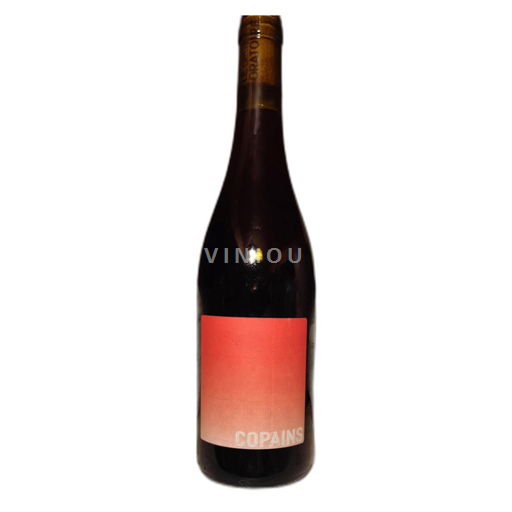 Rhône-dalen SASU de l'oratoire Copains Ikke årgangsbestemt