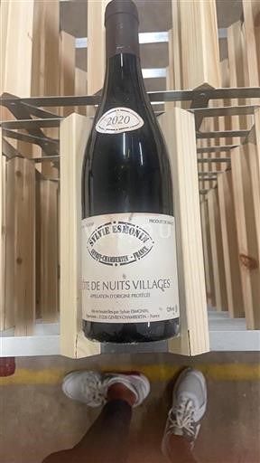 Burgund Côte de Nuits Villages Sylvie Esmonin 2020