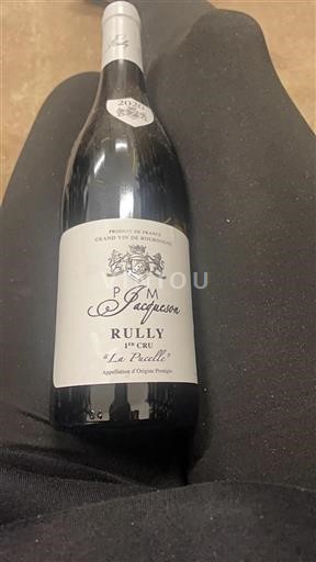 Bourgogne Rully Premier Cru Domaine Jacqueson La Pucelle 2020
