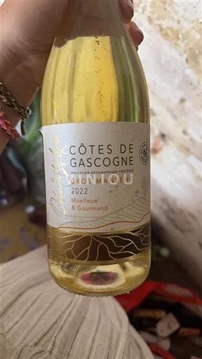 Sudoeste Côtes de Gascogne Chanteloup 2022