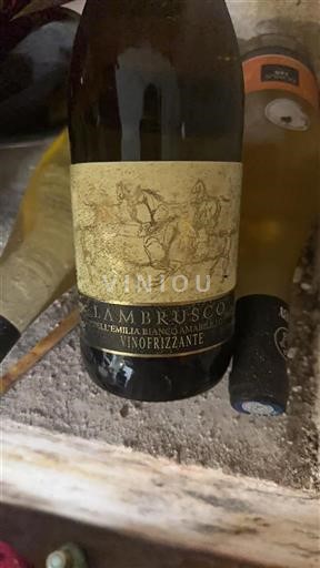Emilia-Romagna Wines Unspecified Vinofrizzante Non-Vintage