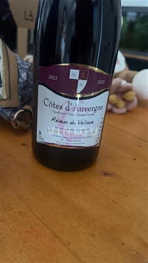 Valle della Loira Côtes-d'Auvergne EARL Champbe Nicolas Reines du Volcan 2022