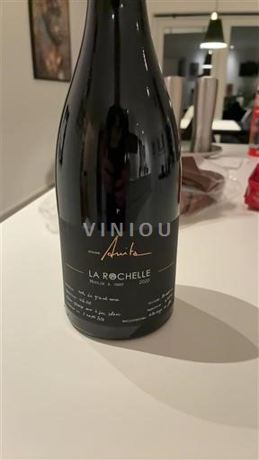 Божоље Moulin-à-vent Domaine Anita La Rochelle 2020