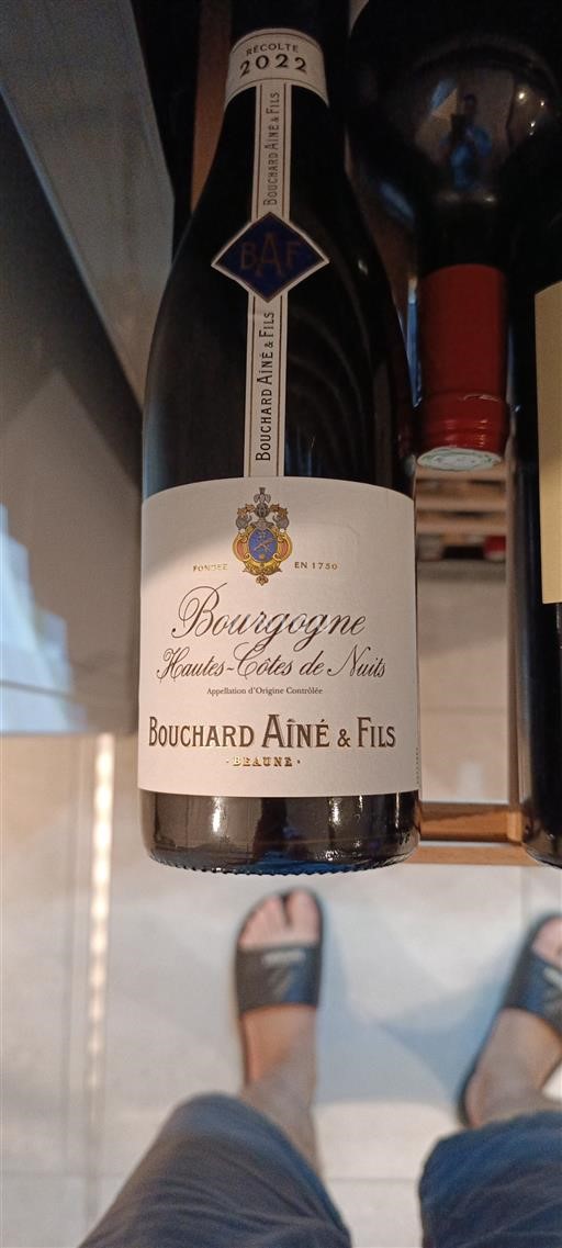 Burgund Hautes Côtes de Nuits Bouchard Aîné & Fils 2022