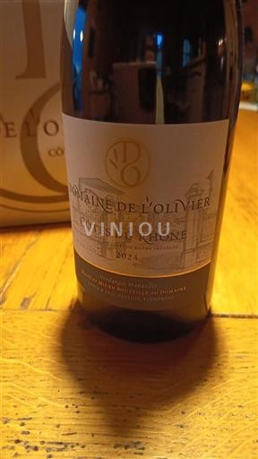 Valle del Rodano Côtes-du-Rhône Domaine L'Olivier 2024
