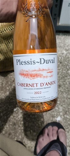 Thung lũng sông Loire Cabernet-d'Anjou Plessis-Duval 2022