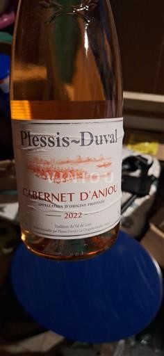 Dolina Loare Cabernet d'Anjou Plessis-Duval 2022