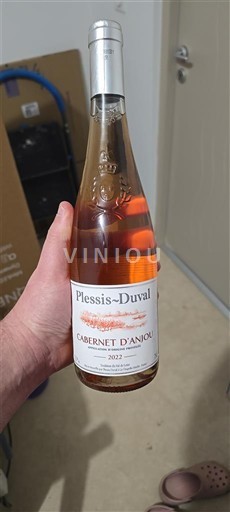 Valle del Loira Cabernet-d'Anjou Plessis-Duval 2022