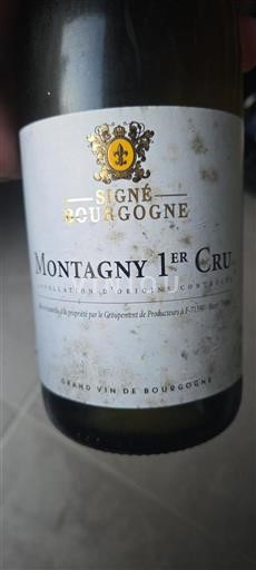 Bourgogne Ikke specificeret Premier Cru Les Signogge 2022