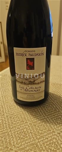 Луарська долина Анжу Domaine Patrick Baudouin Les Coteaux d'Ardenay 2018