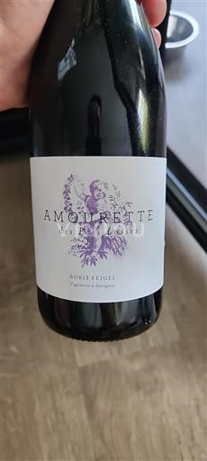 Langvedok Ni doloceno Boris Feigel Amourette des Prés Lasses Neleten.