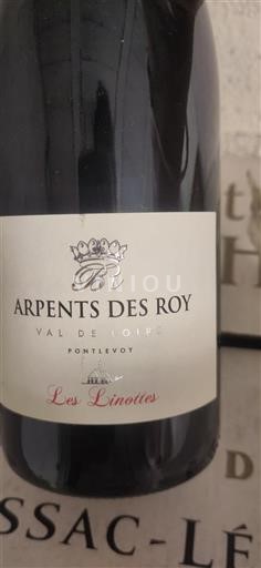 Dolina Loare Arpents des Roy Les Linottes Neleten.