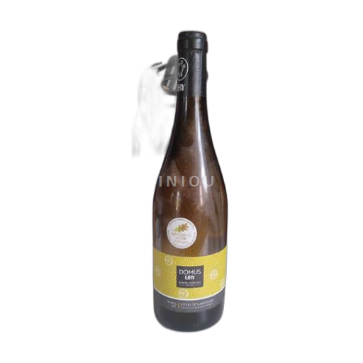 Sudoeste Côtes de Gascogne Domaine Uby Domus 2019
