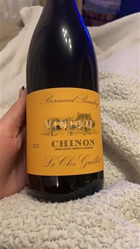 Vallée de la Loire Chinon Bernard Baudry Le Clos Guillot 2022