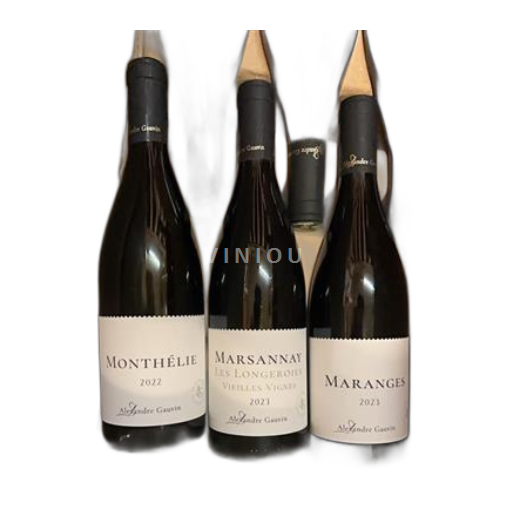 Vin Rouge sec Les Longeroyes Vieilles Vignes Alexandre Gauvin 2023 France Bourgogne Marsannay AOC