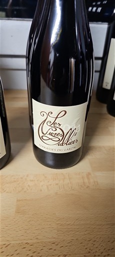 Languedoc Terrasses-du-Larzac Les vignes oubliées Vignes oubliées 2022