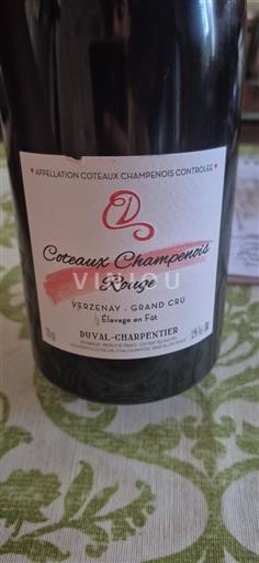 Samppanja Coteaux Champenois Grand Cru Duval-Charpentier 2020