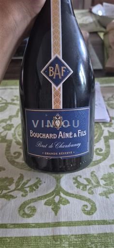 Bourgogne Ikke specificeret Bouchard Aîné & Fils Brut de Chardonnay 2021