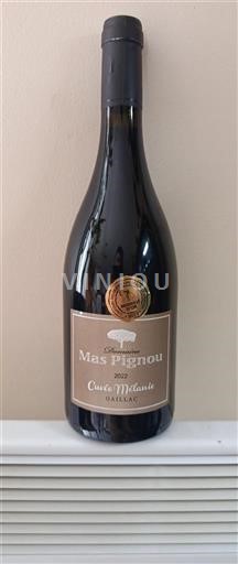 Sydvestfrankrig Gaillac Domaine Mas Pignou Mélanie 2022