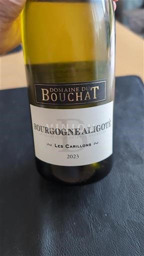 Burgundy Bourgogne Aligoté Domaine Bouchat Les Carillons 2023