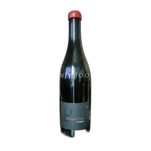 Loiretal Sancerre Domaine Pellé morogues 2023