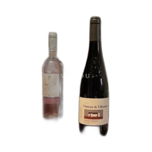 Údolí Loiry Saumur-Champigny Château Villeneuve 2021