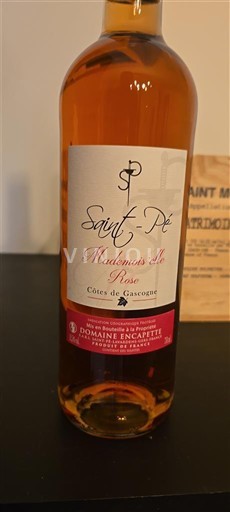 Jugozahod Côtes de Gascogne Domaine Encapette Mademoiselle Rose Neleten.