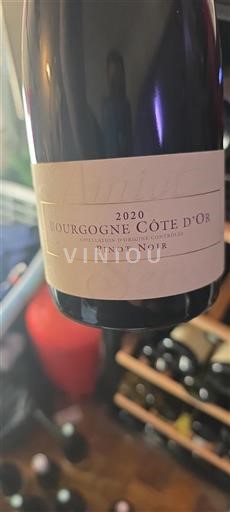 Bourgogne Bourgogne Côte d'Or Pinot Noir 2020