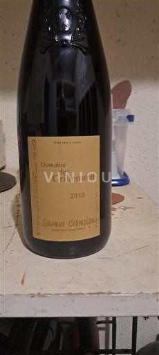 Valle del Loira Saumur-Champigny Domaine Des Grillemonts 2019