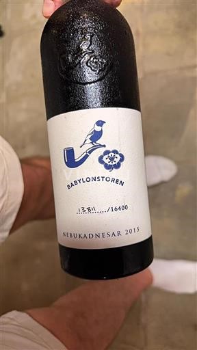 Norra Kapprovinsen Ospecificerad Babylonstoren Nebukadnesar 2015