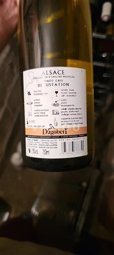 Alsace Dagobert Dégustation 2023