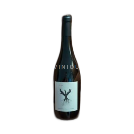 Vin Rouge sec Psi 2022 Espagne Castille et León Ribera del Duero DO