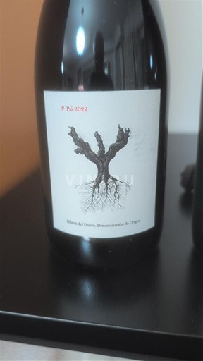 Castile and León Ribera del Duero Psi 2022