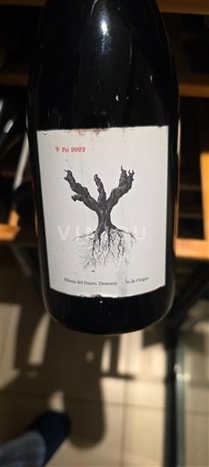 Castela e Leão Ribera del Duero Psi 2022