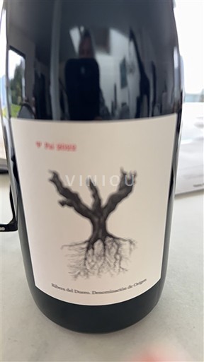 Castille et León Ribera del Duero Psi 2022