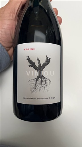 Castela e Leão Ribera del Duero Psi 2022