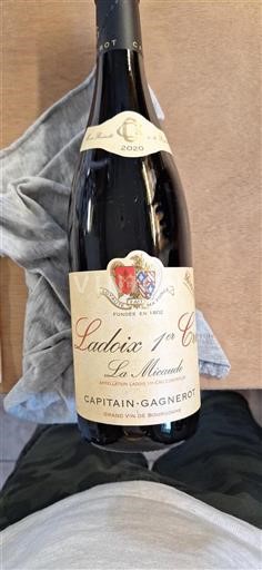Bourgogne Ospecificerad Premier Cru Capitain-Gagnerot La Micaude 2020